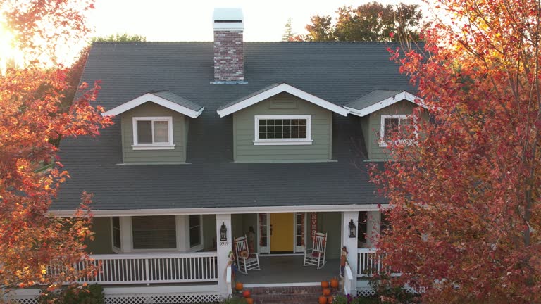 Best Roof Moss and Algae Removal  in Junction, TX