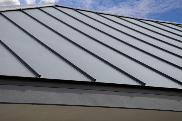 Best Solar Panel Roofing Installation  in Junction, TX